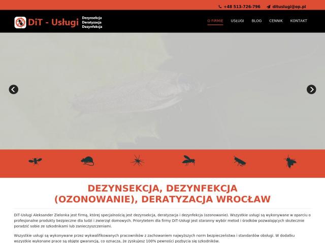DiT-Usługi